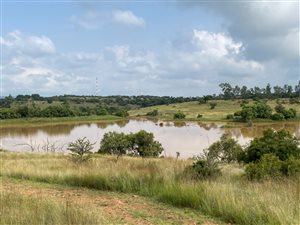 50 ha Farm in Swartruggens
