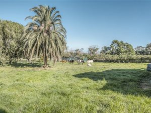 6 ha Farm in Greenbushes AH