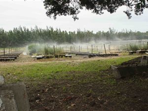 10 ha Farm in Nseleni