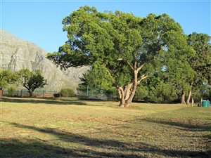 904 m² Land available in La Pastorale