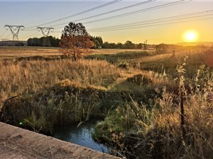 9.7 ha Farm in Boschkop