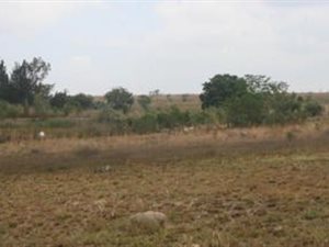 84 ha Farm in Diepsloot