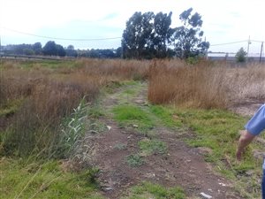 3492 m² Land available in Denneoord