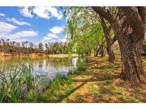 1 ha Land available in Mooikloof Equestrian Estate