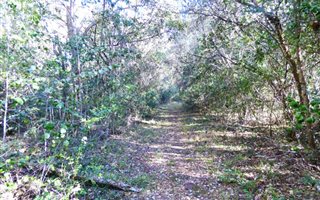 86.5 ha Land available in Rheenendal