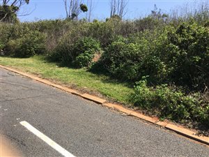 1126 m² Land available in Saiccor