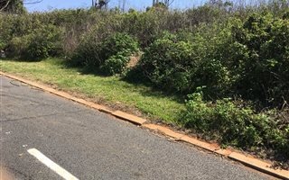 1126 m² Land available in Saiccor