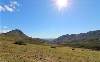 560 ha Farm in Herbertsdale