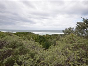 1066 m² Land available in Keurboomstrand