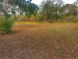 1305 m² Land available in Bedford
