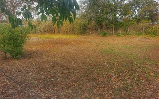 1305 m² Land available in Bedford