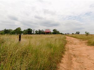 9 ha Farm in Rietfontein