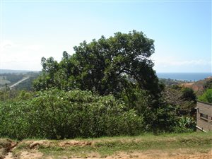 1822 m² Land available in Woodgrange