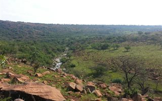 747 ha Farm in Greytown