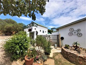 3 Bed House in Napier