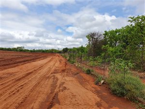 533 ha Farm in Musina