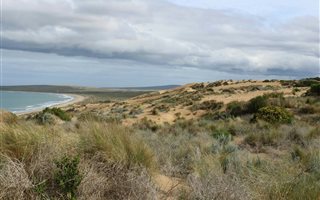 8.6 ha Land available in Vlees Bay
