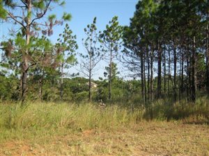 1012 m² Land available in Leisure Bay