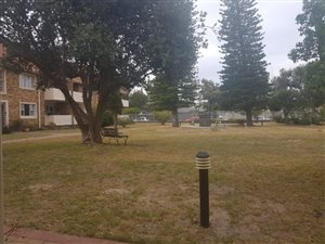 1 Bedroom Apartment in Pinelands