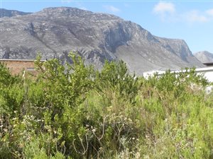 884 m² Land available in Bettys Bay