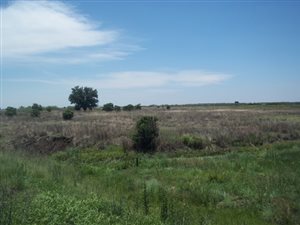 4.4 ha Land available in Onverwacht