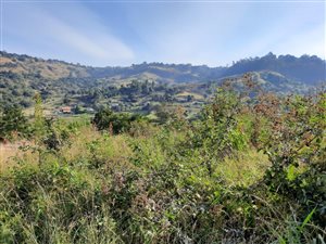 1485 m² Land available in Gillitts