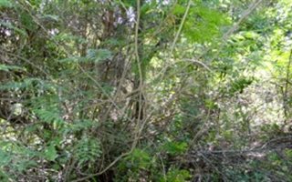 4037 m² Land available in Blyde Wildlife Estate