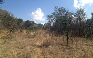 4 ha Land available in Tiegerpoort