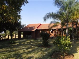 85 ha Farm in Mookgophong (Naboomspruit)