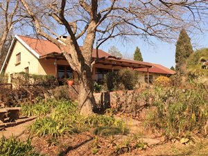 4 Bed House in Hilton