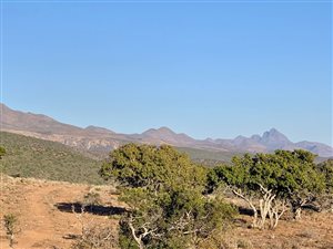 784 ha Farm in Uitenhage Rural
