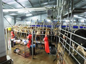 2250 ha Farm in Mooi River