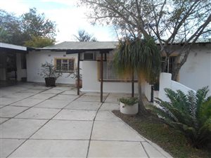 5 ha Farm in Karino