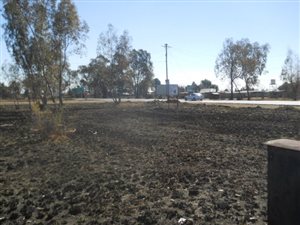 2.1 ha Farm in Nanescol