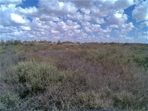 5770 ha Farm in Calvinia
