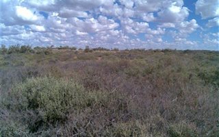 5770 ha Farm in Calvinia