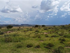 600 ha Farm in Rouxville