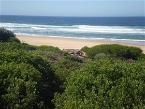 713 m² Land available in Nature on Sea