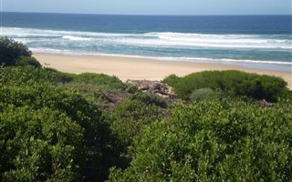 713 m² Land available in Nature on Sea
