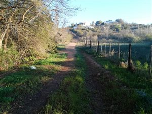 1133 m² Land available in De Rust