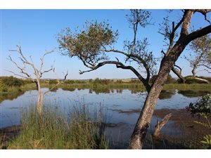 65 ha Farm in Empangeni