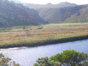 4.9 ha Farm in Rooi Els