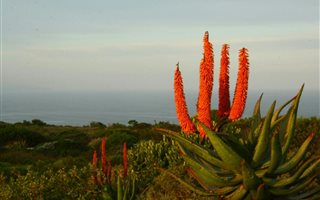2770 m² Land available in Springerbaai Eco Estate