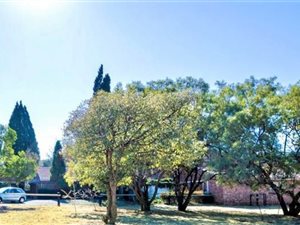 2 ha Farm in Golf View
