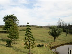 8.4 ha Farm in Green Pastures