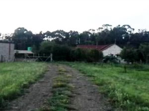 7 ha Farm in Greylingstad