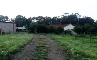 7 ha Farm in Greylingstad