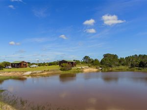 34.9 ha Farm in Port Alfred