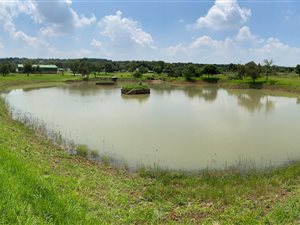 11 ha Farm in Klipkop