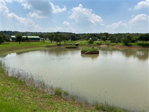 11 ha Farm in Klipkop